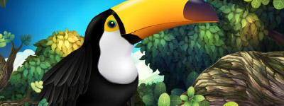 Toucan