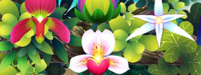 orchids